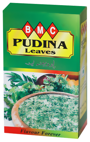 Pudina Patta